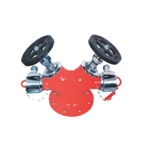Ecofire Double Outlet Type Landing Valve Type B (Stainless Steel)