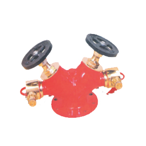 Ecofire Double Outlet Type Landing Valve Type B (Gun Metal)