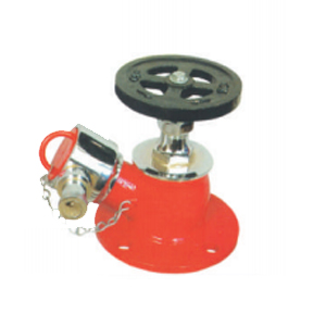 Ecofire Single Landing Valve Type A (Stainless Steel)